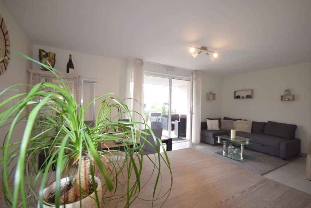 Appartement Sélestat Εξωτερικό φωτογραφία